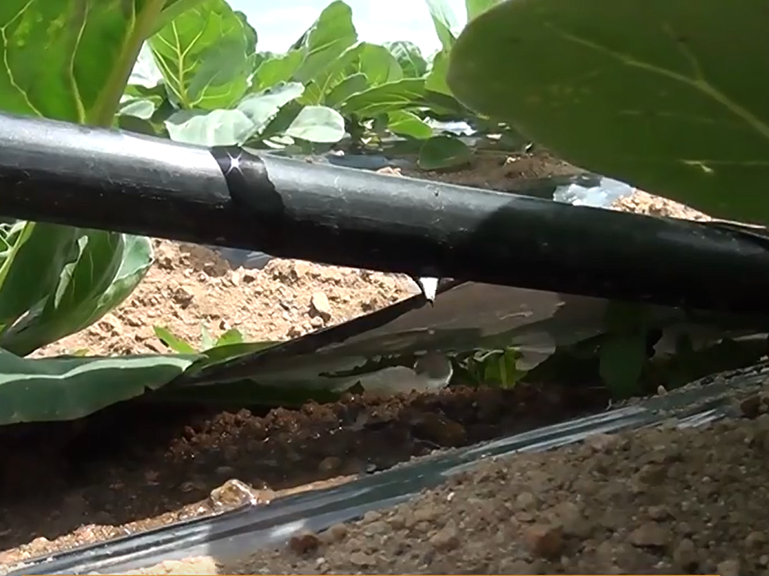 Drip Irrigation Tape