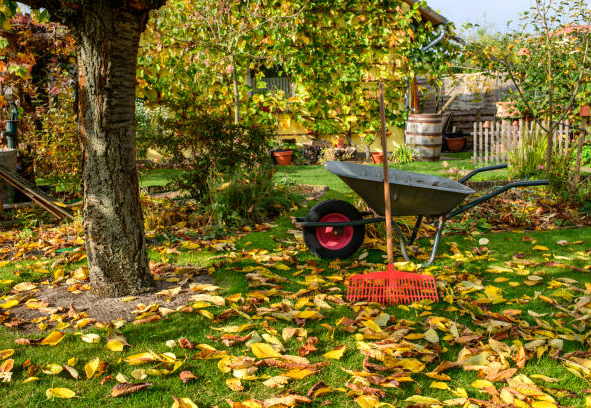 Mastering Autumn Garden Tasks with Garden Pressure Sprayer