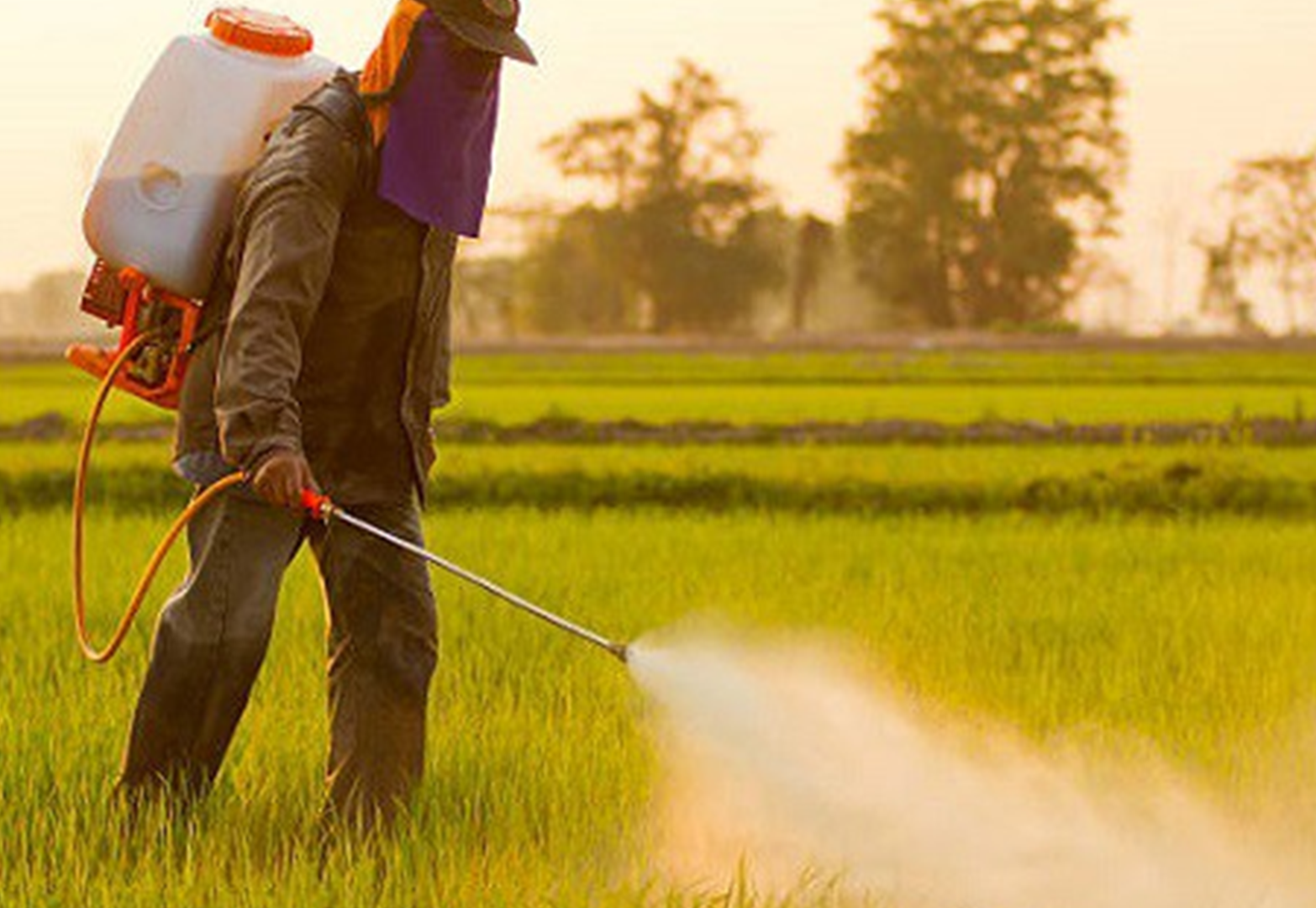 Choosing the Right Backpack Sprayer for Different Crops